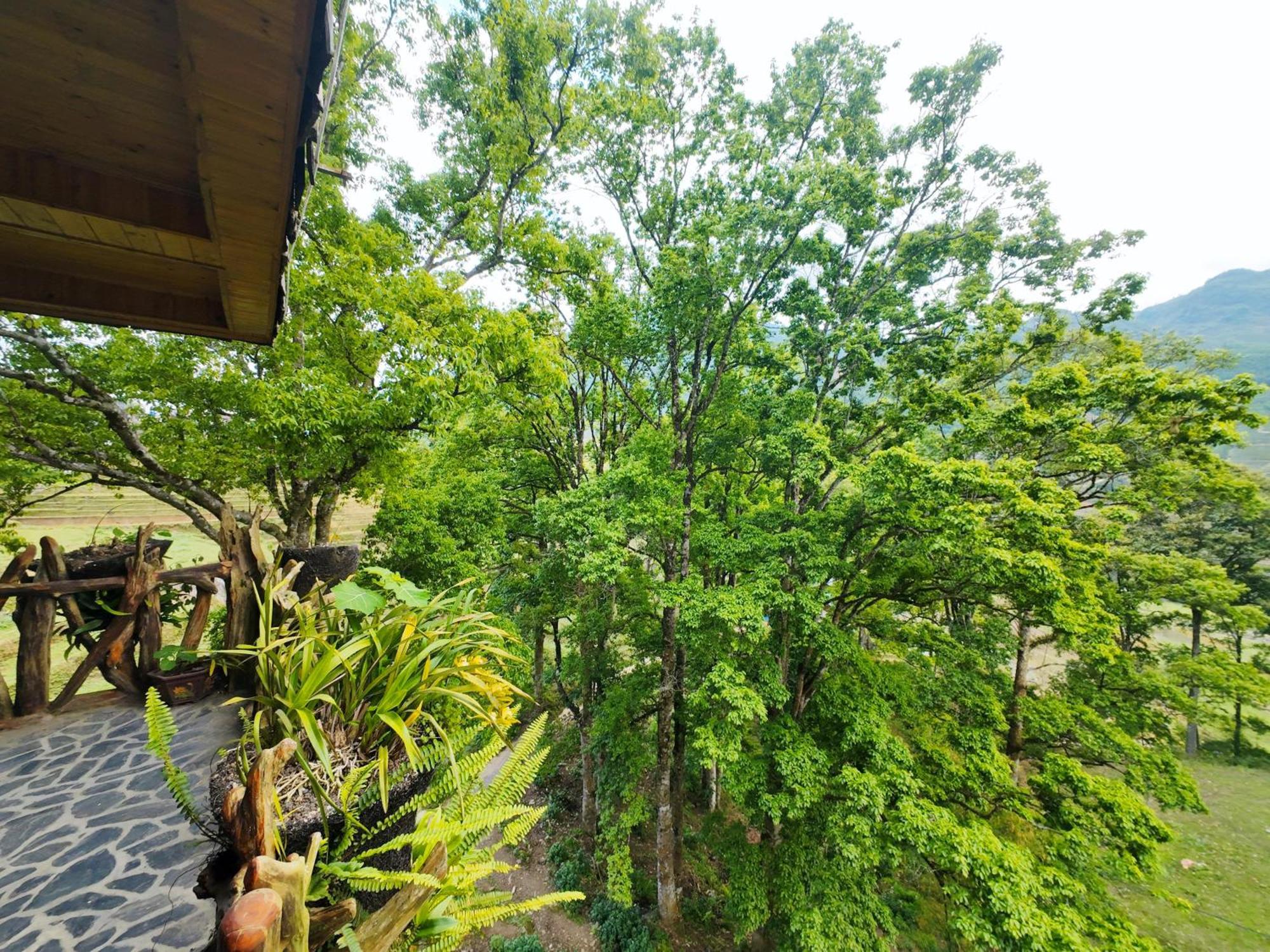 Mt House Sa Pa Otel Dış mekan fotoğraf
